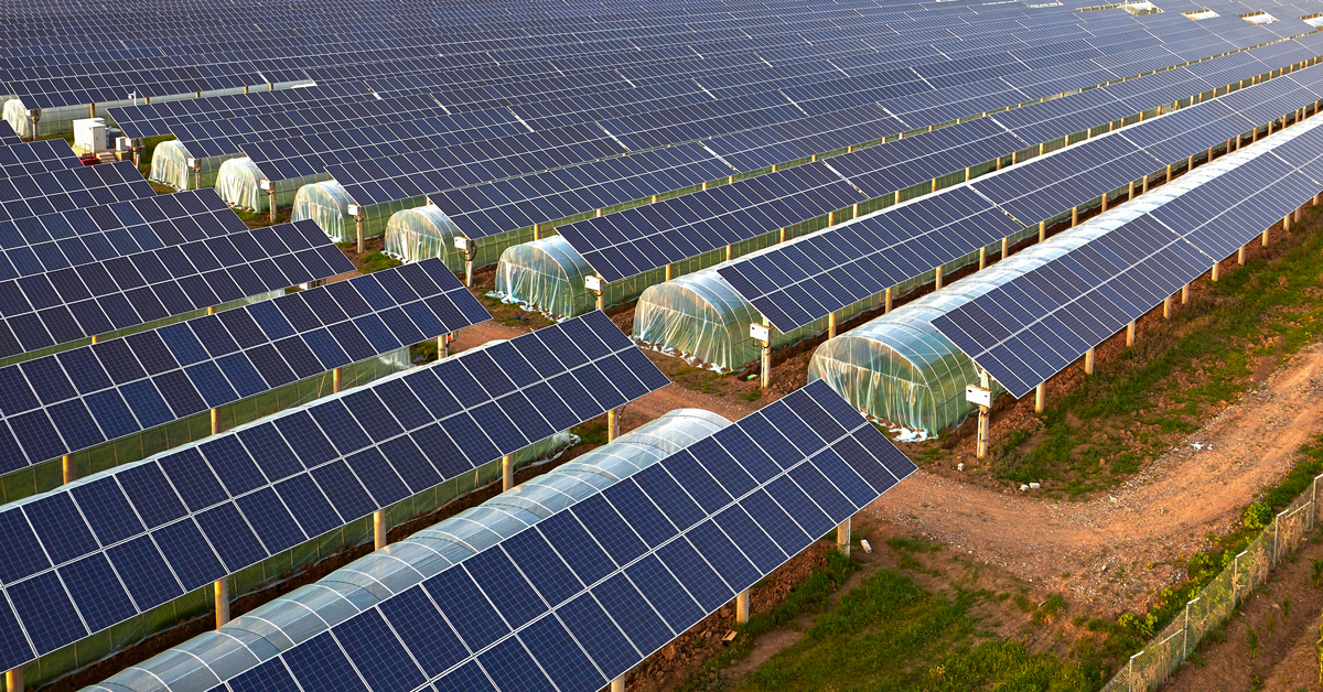 2788_AdobeStock_247094515 Fotovoltaico Serra per Agricoltura
